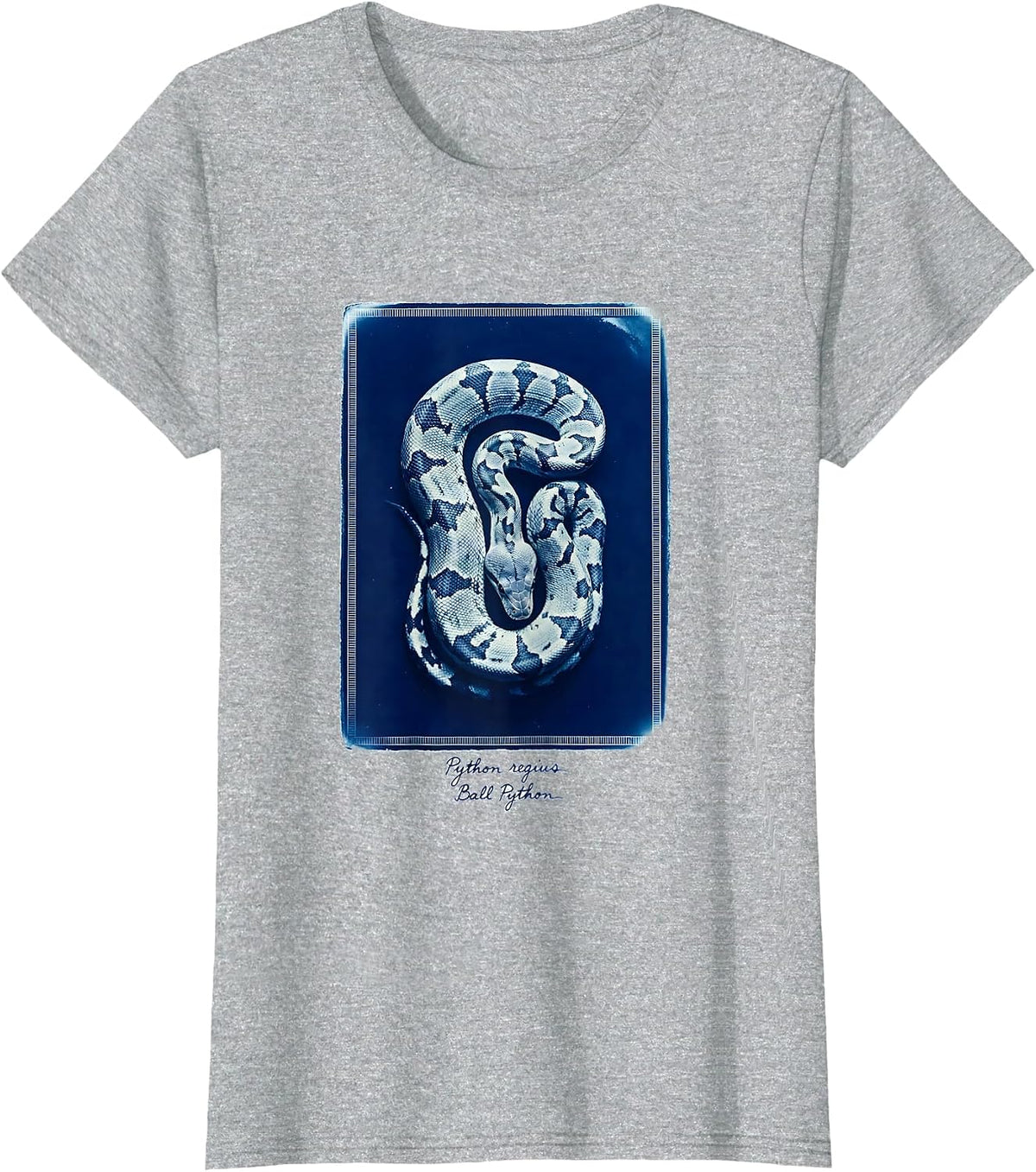 Women's Python regius Ball Python Funny Snake Owner Reptile Lover T-Shirt - Heather Grey