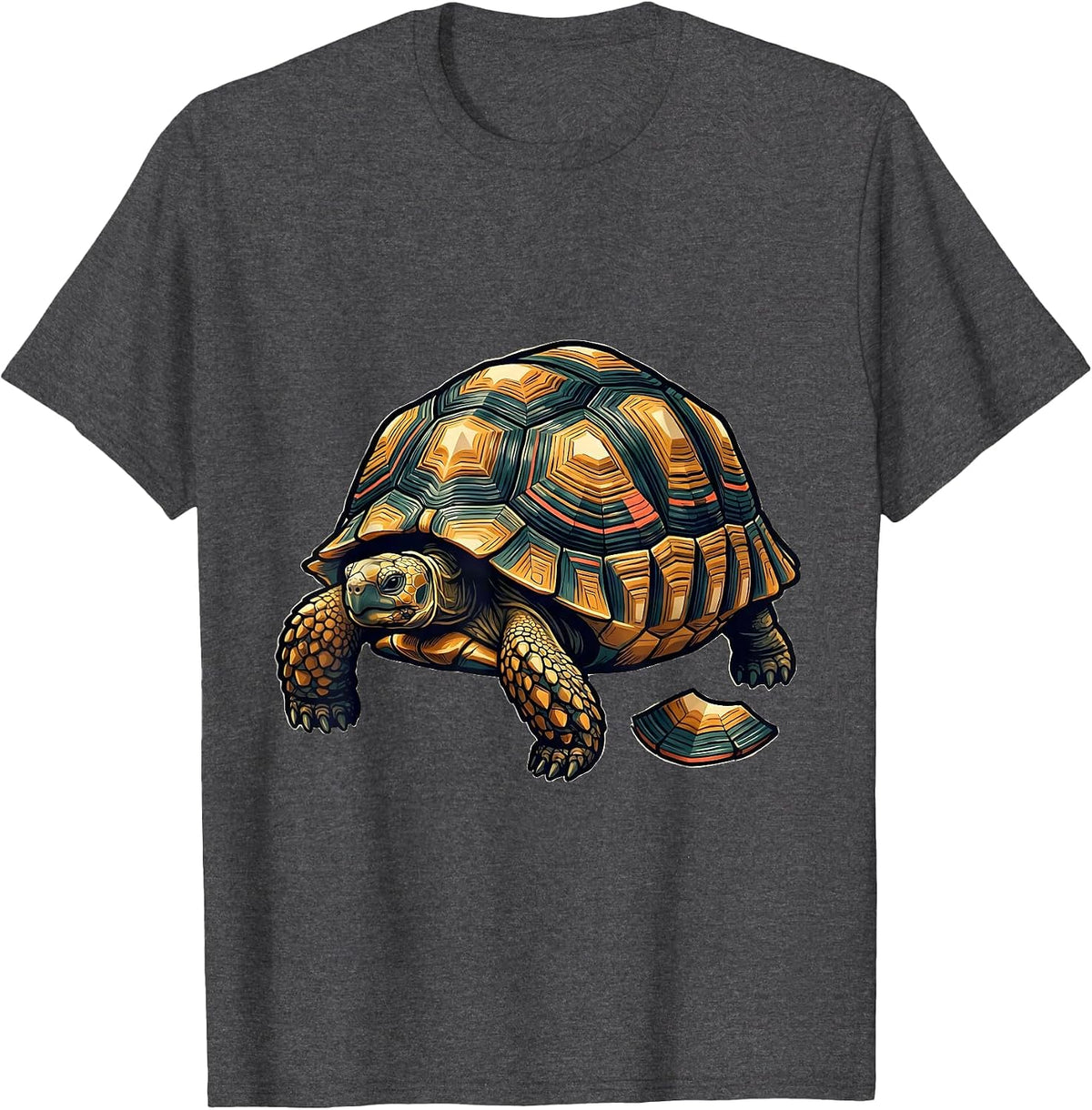 Indian Star Tortoise Reptile Lover Novelty Animal Fan T-Shirt - Dark Heather Grey