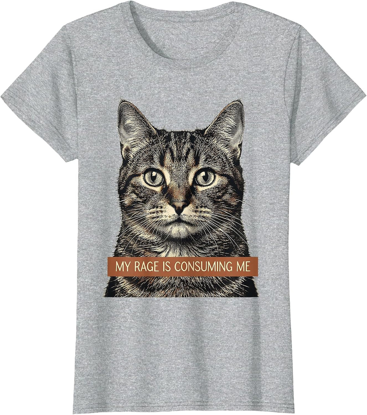 Women's My Rage Is Consuming Me Funny Cat Meme Silly Staring T-Shirt - Heather Grey
