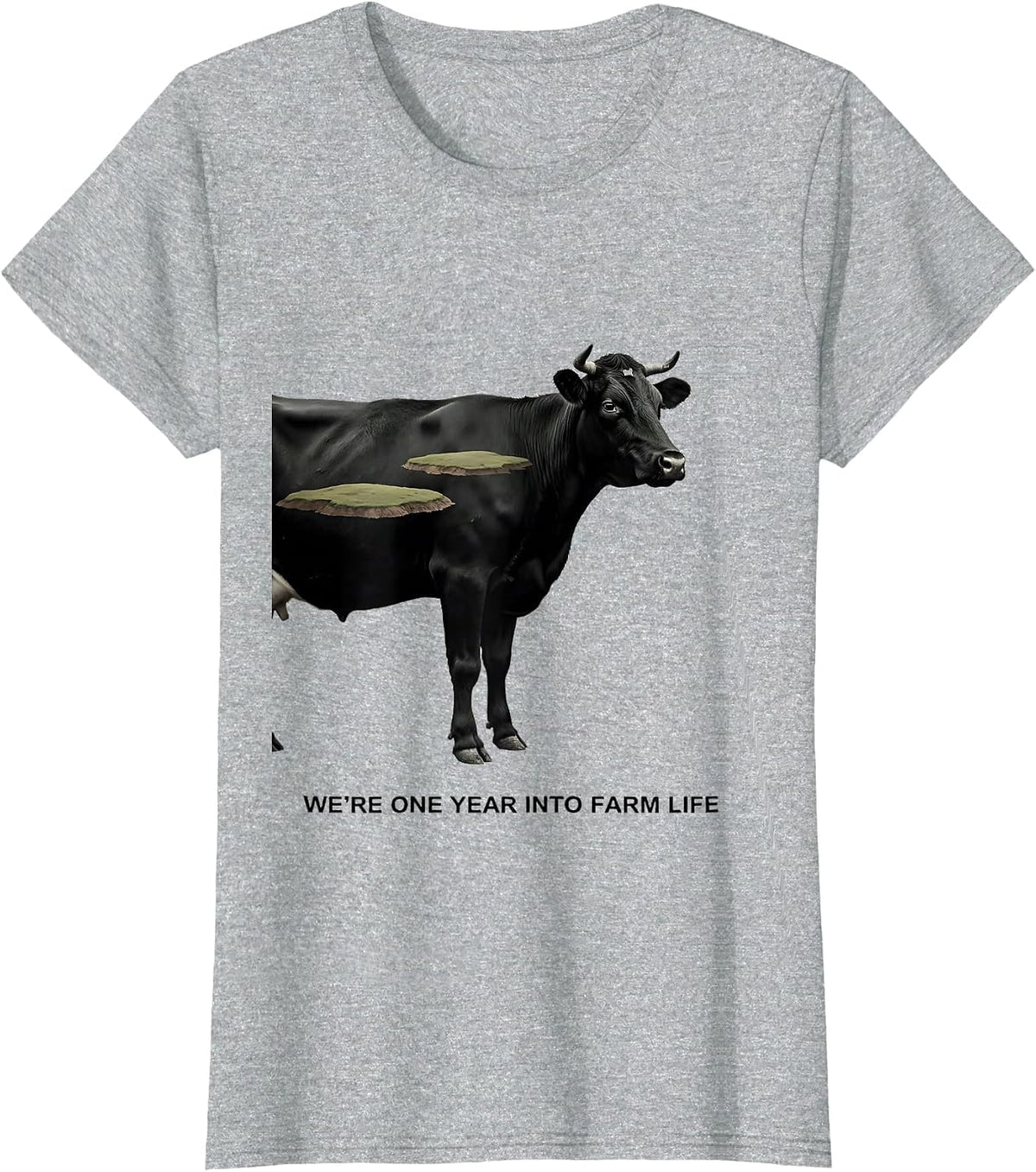 We're One Year Into Farm Life Playful Farm Family Matching T-Shirt - Heather Grey