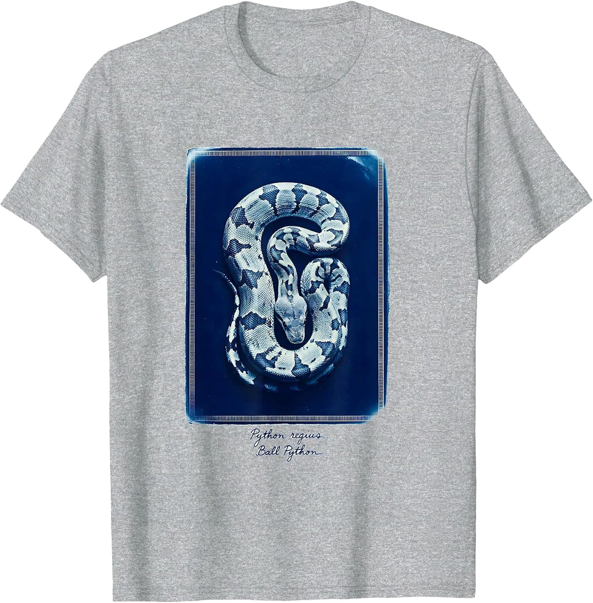 Men's Python regius Ball Python Funny Snake Owner Reptile Lover T-Shirt - Heather Grey