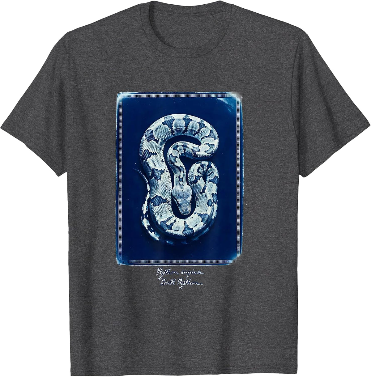 Men's Python regius Ball Python Funny Snake Owner Reptile Lover T-Shirt - Dark Heather Grey