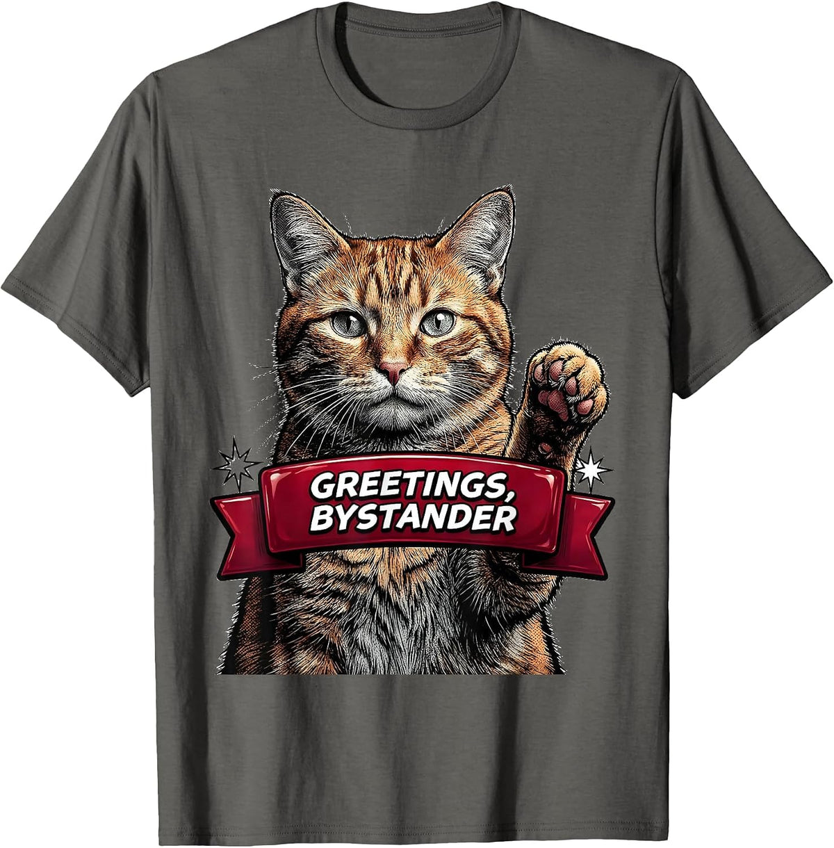 Men's Greetings Bystander Funny Cat Meme Bootleg Graphic T-Shirt - Asphalt Grey
