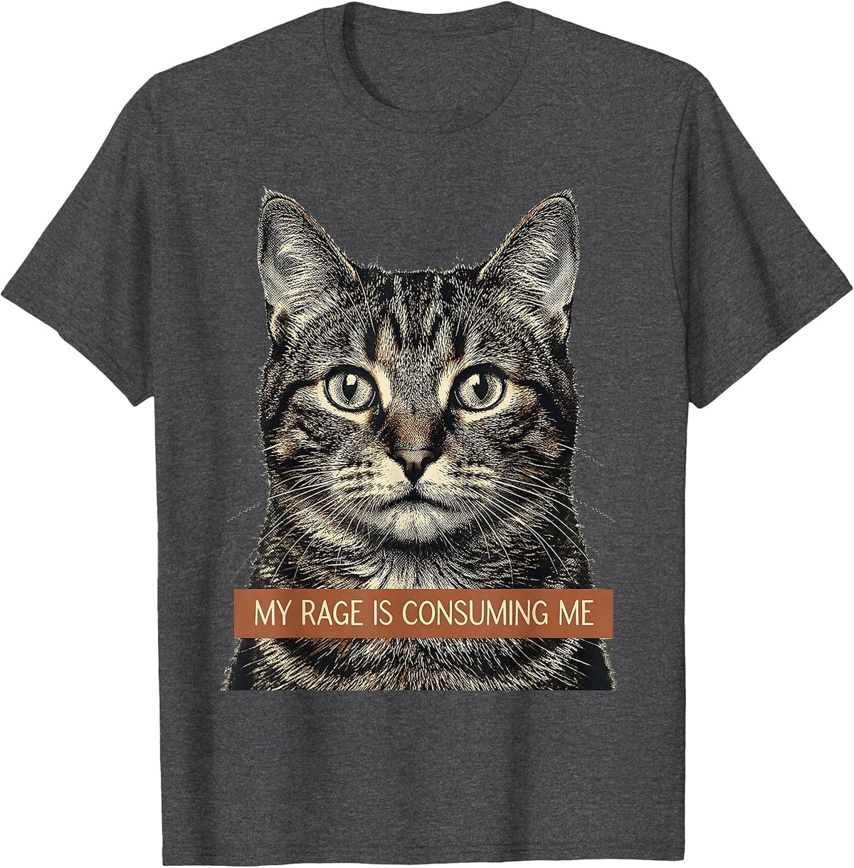 Men's My Rage Is Consuming Me Funny Cat Meme Silly Staring T-Shirt - Dark Heather Grey