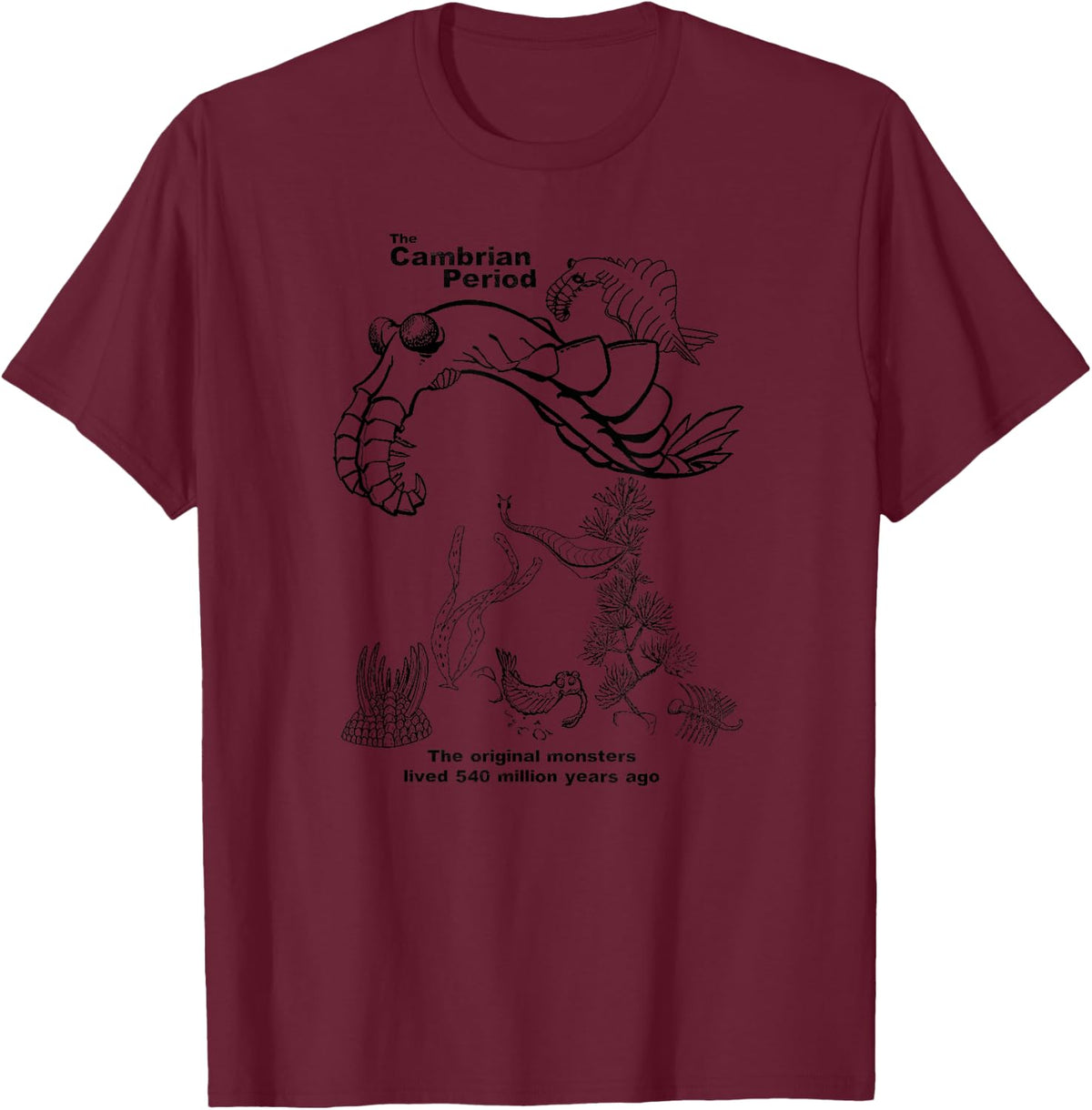 Cambrian T-Shirt - Burgundy