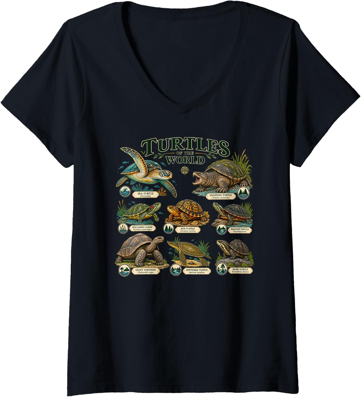 Women's Turtles of the World Tortoise Turtle Species Reptile Lover V-Neck T-Shirt - Black