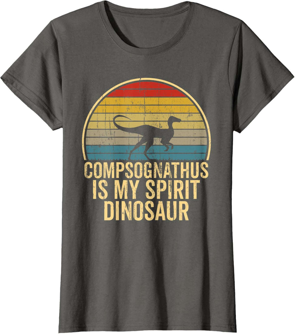 Compsognathus Is My Spirit Dinosaur - Dino Lovers Gift T-Shirt - Asphalt Grey