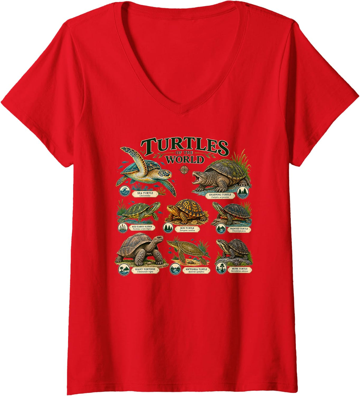 Women's Turtles of the World Tortoise Turtle Species Reptile Lover V-Neck T-Shirt - Red