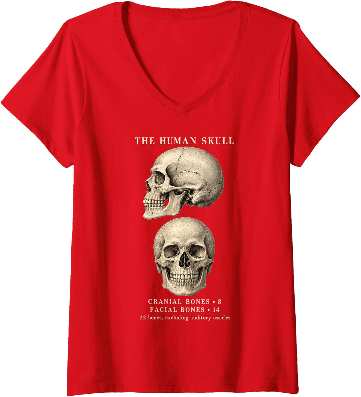 Women's The Human Skull Anatomy Cranial Facial Bones Medical Science V-Neck T-Shirt - Red
