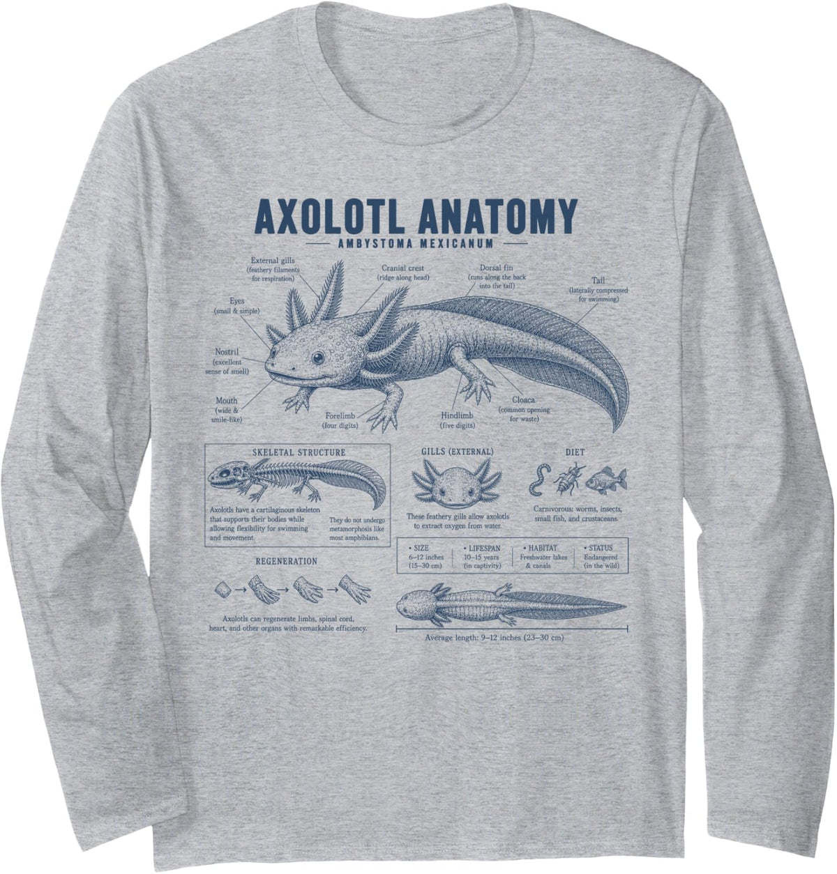 Vintage Axolotl Anatomy Biology Science Amphibian Salamander Long Sleeve T-Shirt - Adult Unisex Heather Grey