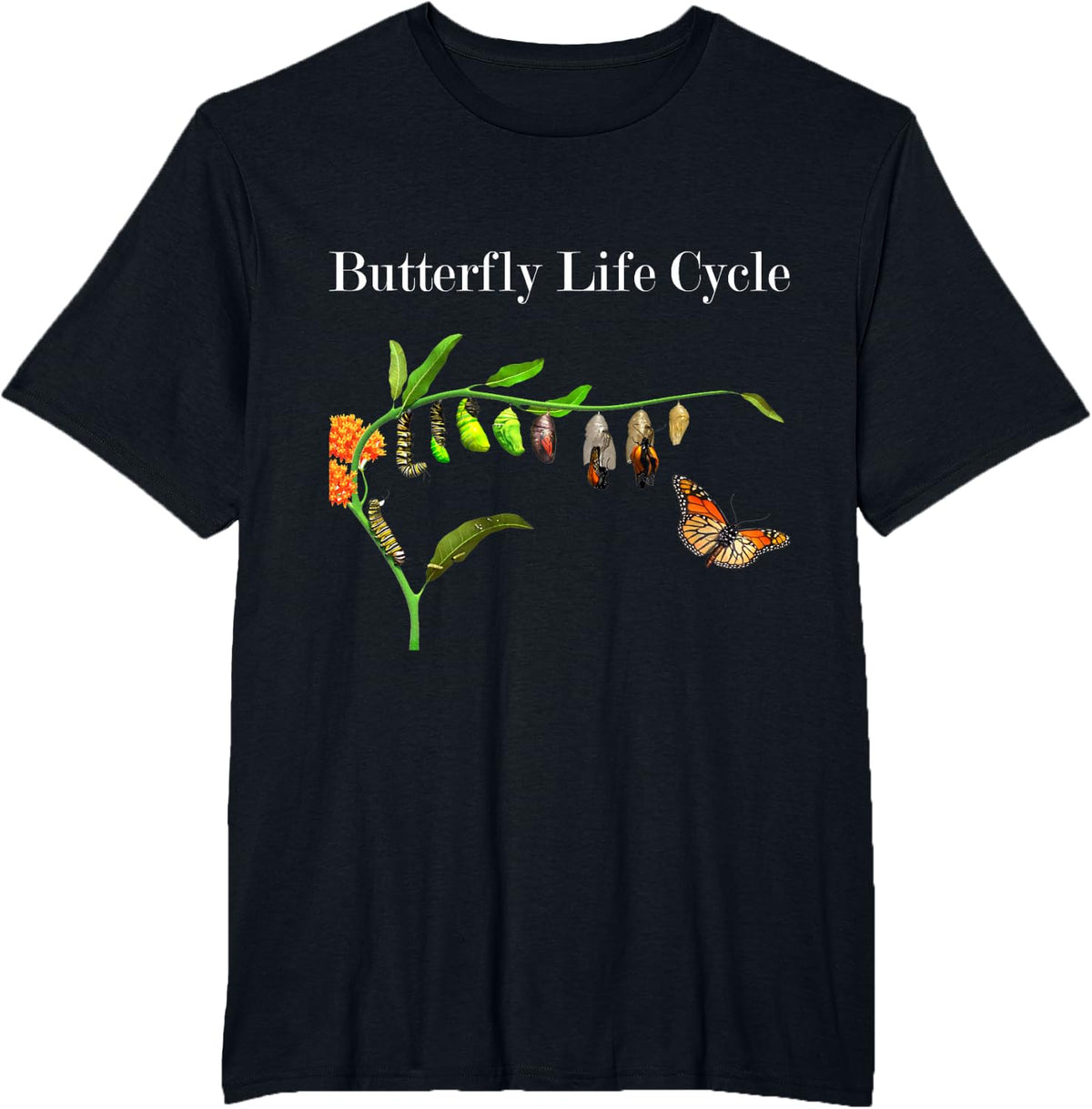 Butterfly Life Cycle Butterflies Natural Sciences Lover T-Shirt - Black