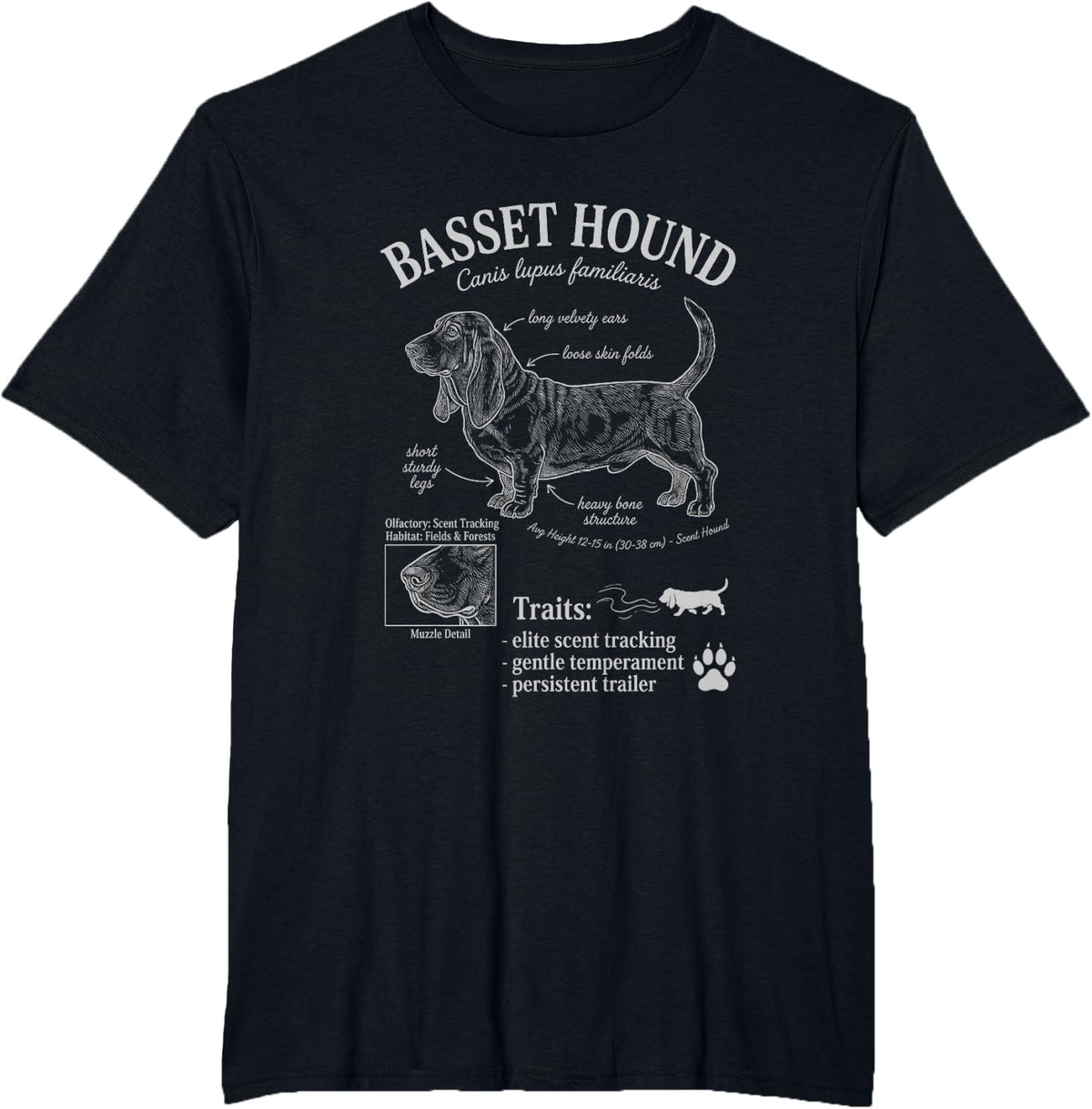 Basset Hound Scientific Encyclopedia Illustration T-Shirt - Black