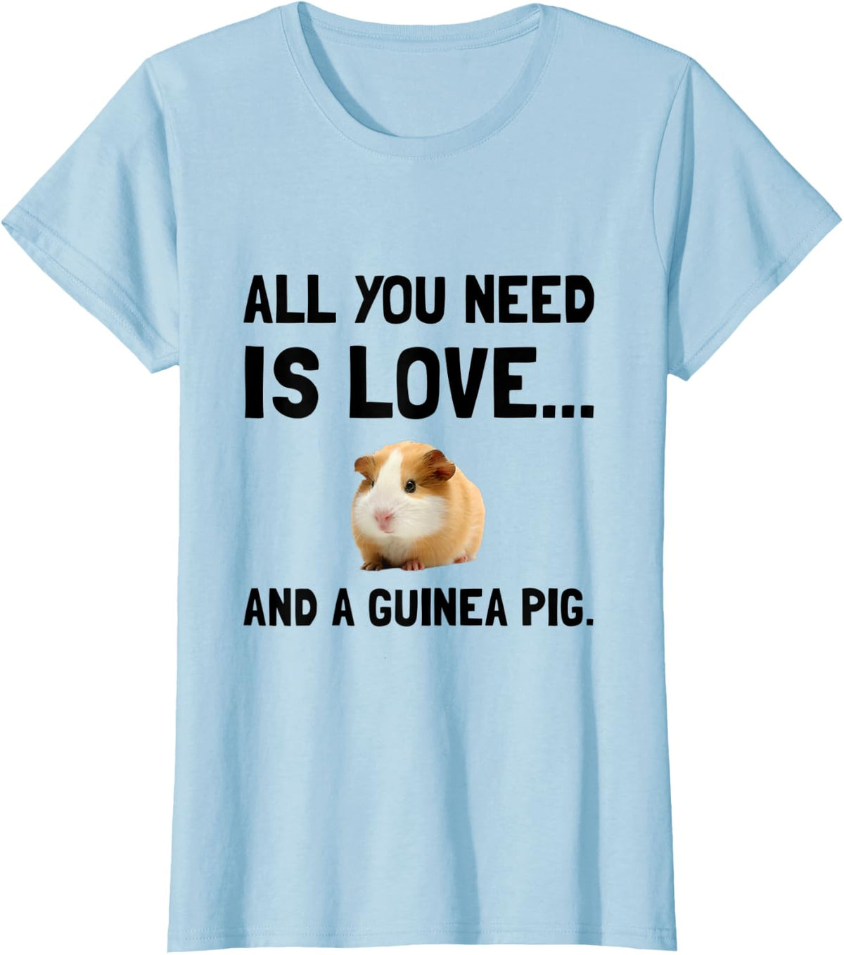 Love And A Guinea Pig Pet T-Shirt T-Shirt - Baby Blue