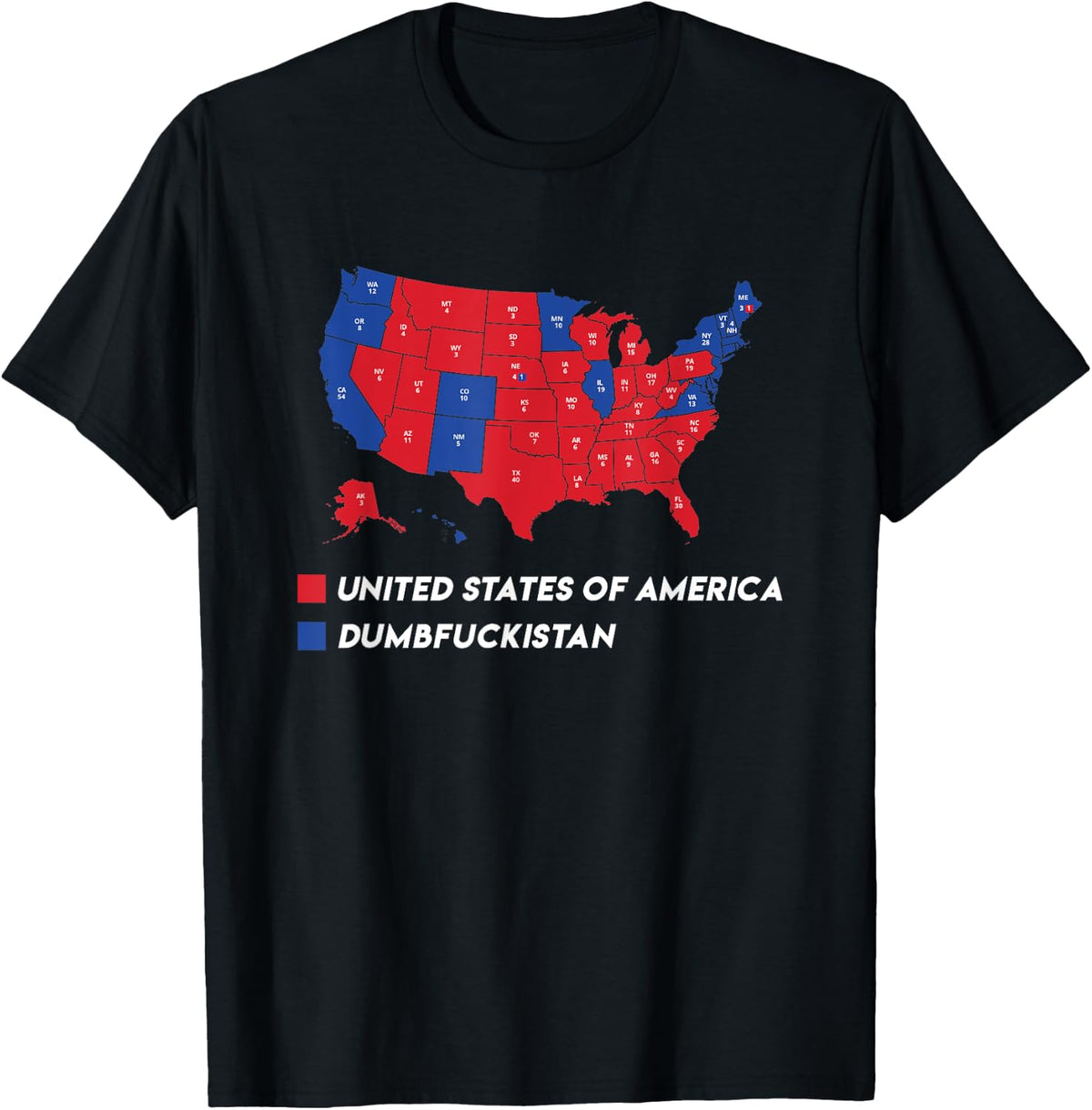 Election Map 2024 United States Of America Dumbfuckistan T-Shirt - Black