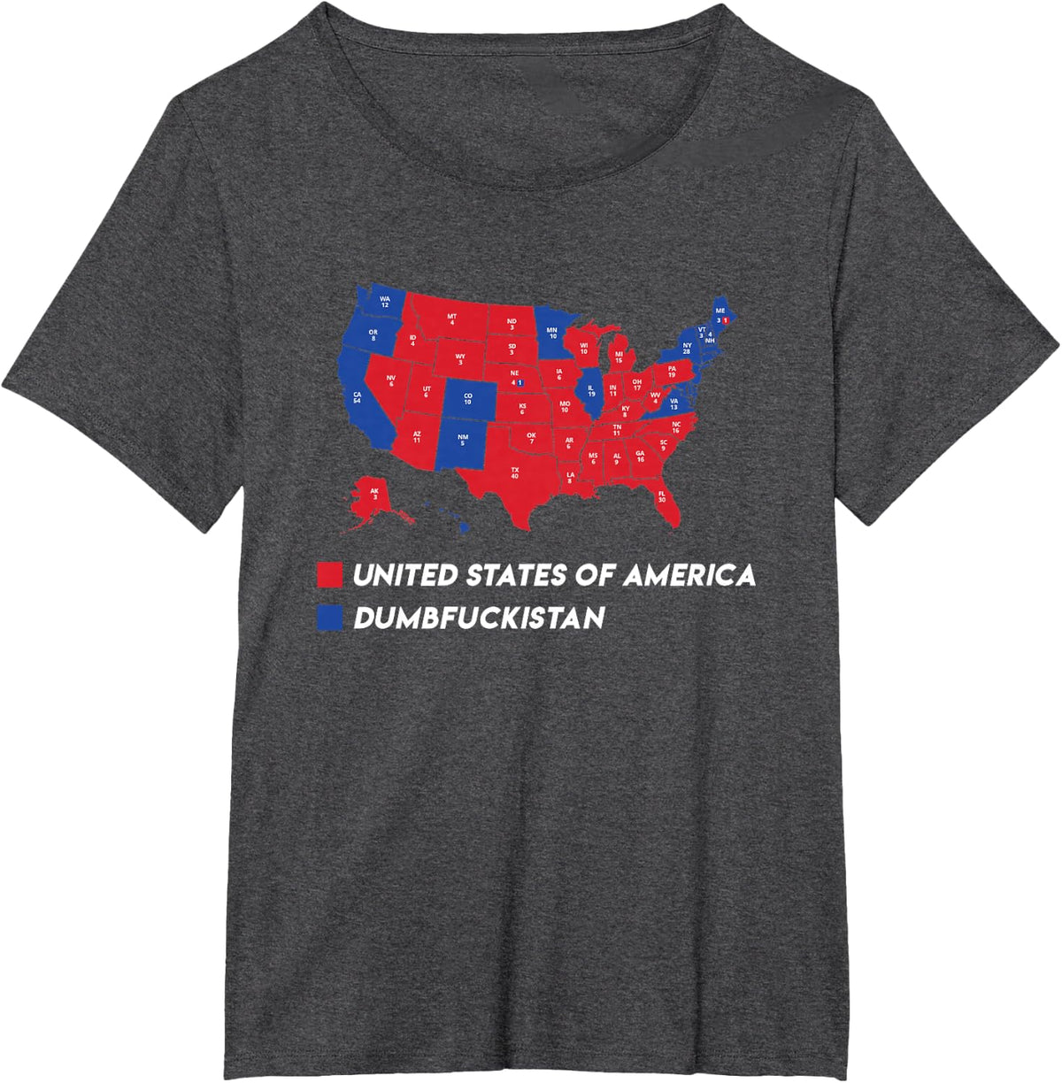 Election Map 2024 United States Of America Dumbfuckistan T-Shirt - Dark Heather Grey