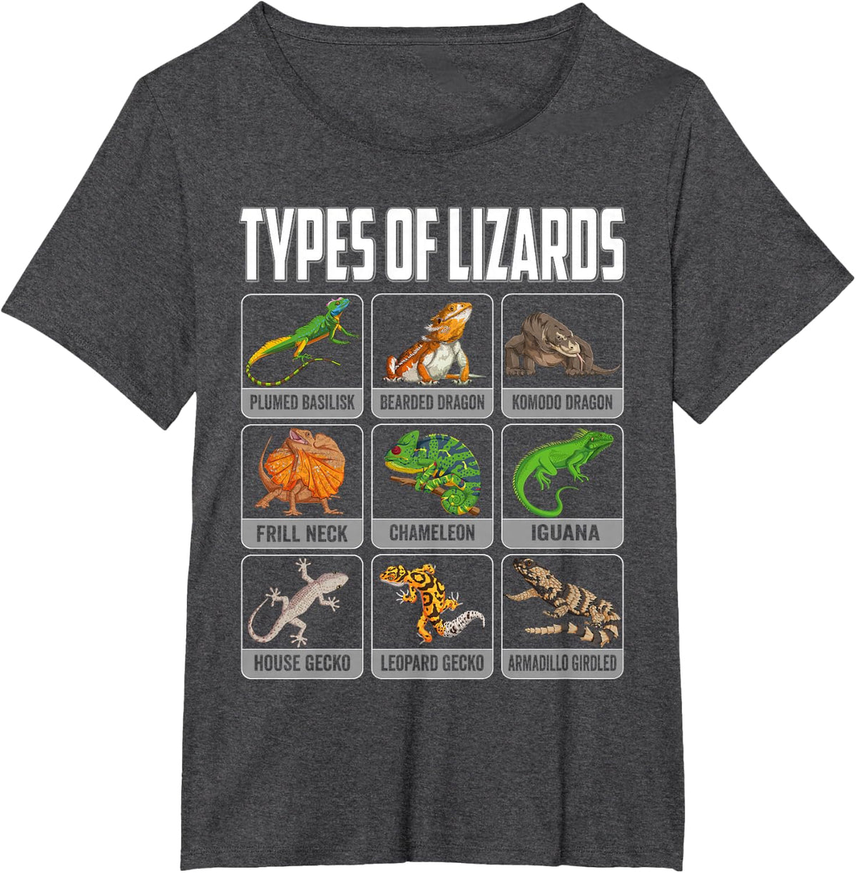 Types of Lizards Reptile Shirt Herpetology Bearded Dragon Tee T-Shirt Men Boys Kids - Dark Heather Grey