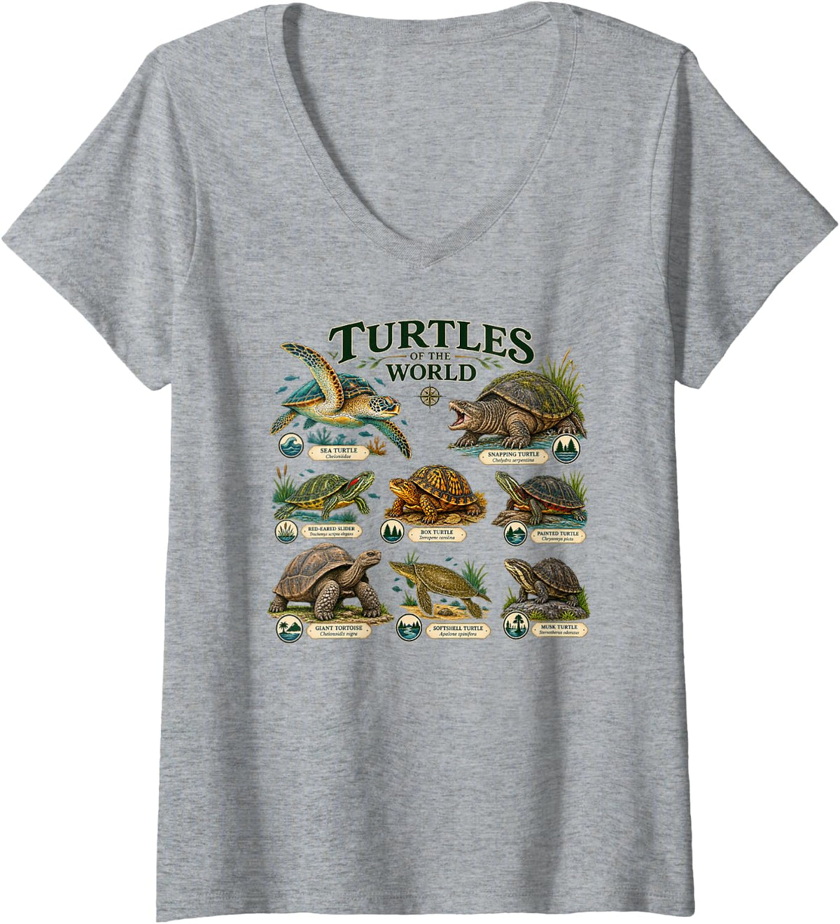 Women's Turtles of the World Tortoise Turtle Species Reptile Lover V-Neck T-Shirt - Heather Grey