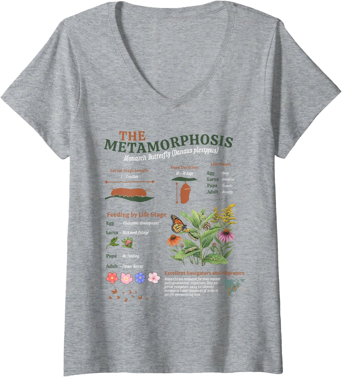 Women's Vintage Monarch Butterfly Metamorphosis Entomology Biology V-Neck T-Shirt - Heather Grey