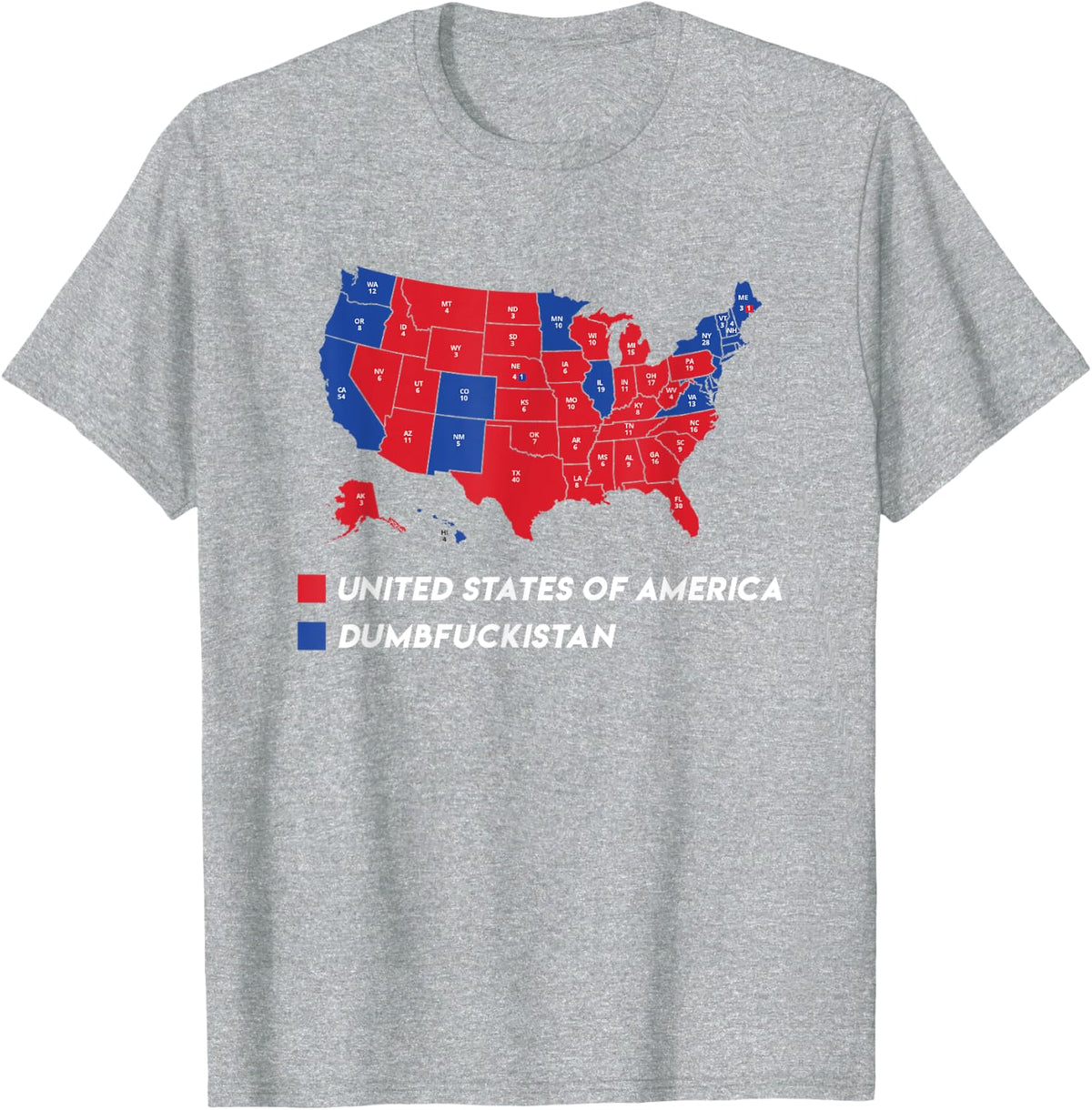 Election Map 2024 United States Of America Dumbfuckistan T-Shirt - Heather Grey