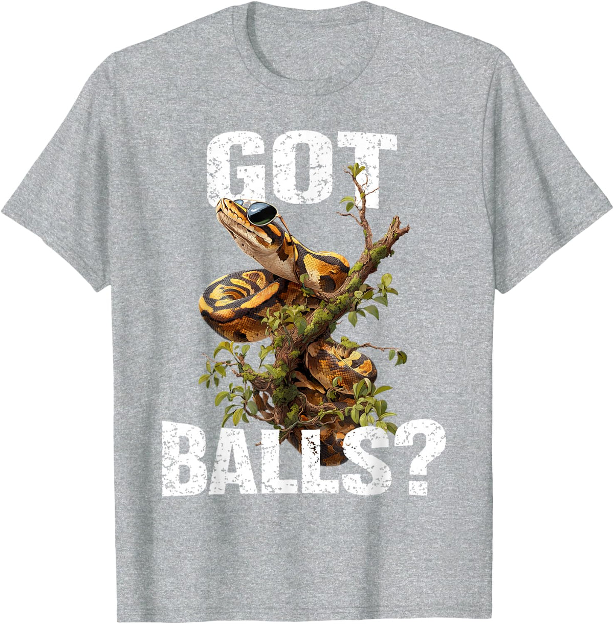 Funny Ball Python Lover Balls Reptile Keeper Snake Owners T-Shirt - Heather Grey