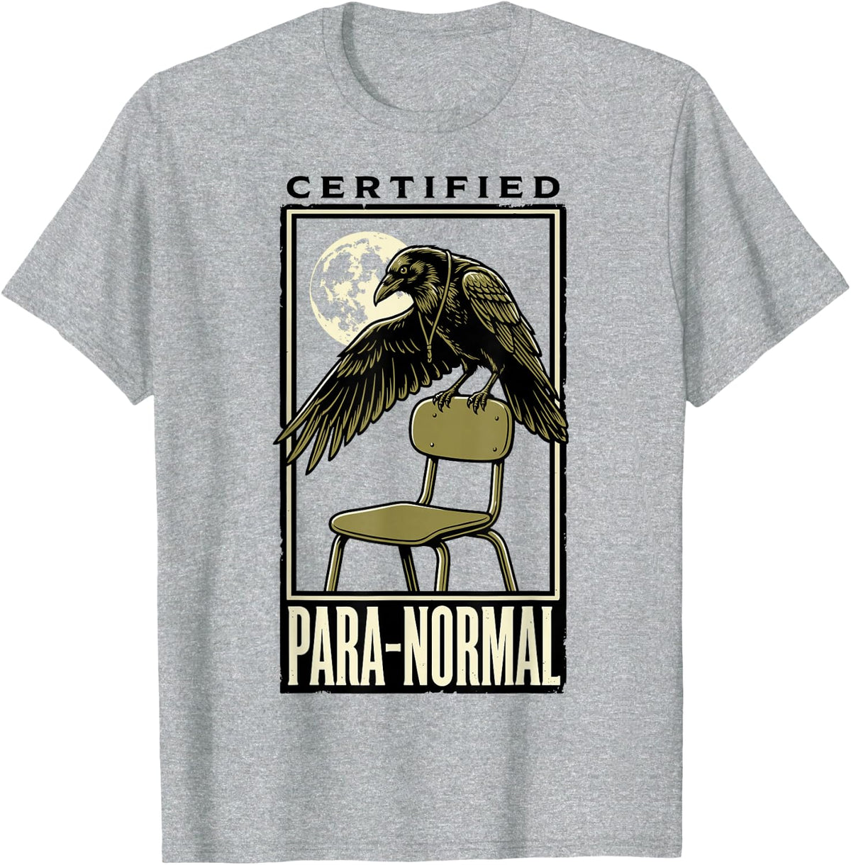 Certified para-Normal Funny Paraprofessional T-Shirt - Heather Grey