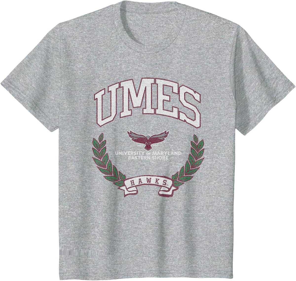 Maryland Eastern Shore Hawks Victory Vintage Gray T-Shirt - Heather Grey